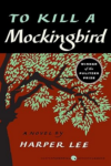 An innocent girl exposes racial bias