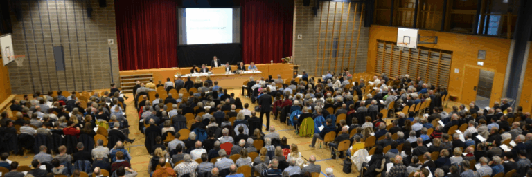 Swiss grassroots democracy